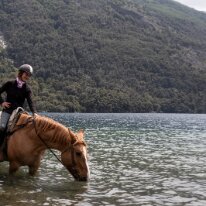 IMG_6543 23/11/2019 - Tant qu'à faire autant en profiter pour boire un p'tit coup. Halija my mare was so relaxed and happy to have such a huge water trough at her...